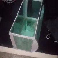اکواریوم