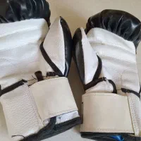 دستکش بوکس نو|تجهیزات ورزشی|اصفهان, بهارستان|دیوار