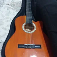 گیتار  دیاموند