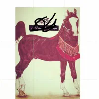 کیارش و طلاوش سیلمی های  زیبای پنج نشان|اسب و تجهیزات اسب‌سواری|شیراز, گویم|دیوار