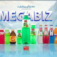 وزیتور و بازاریاب