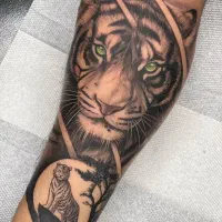 انجام و آموزش تتو بدن با ۵۰٪ تخفیف به مهلت ۲ماه|خدمات آرایشگری و زیبایی|رشت, منظریه|دیوار