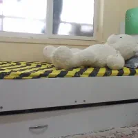 تخت کودک و نوجوان دونفره|تخت و سرویس خواب|قائم‌شهر, |دیوار