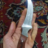 کلیکسیونی