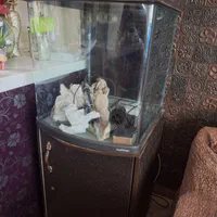 آکواریوم ۲۰۰ لیتری با تمام تحهیزات