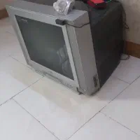تلویزیون