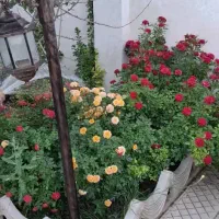500-متر-ویلا-120-متر-بنا-فلت-دماوند-هومند-وادان
