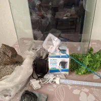 اکواریوم