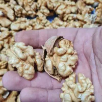 مغزگردوایرانی محلی پرچرب