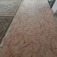پالاز موکت اصل درجه یک بدون هیچ عیبی