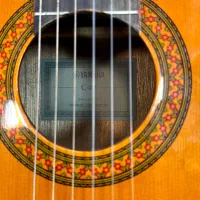 گیتار  C40|گیتار، بیس، امپلیفایر|تبریز, |دیوار