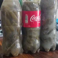 خیار شور ویژه ترد