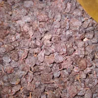 کشمش اعلا|خوردنی و آشامیدنی|بناب, |دیوار