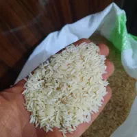 برنج هاشمی اصل|خوردنی و آشامیدنی|رشت, هلال احمر|دیوار