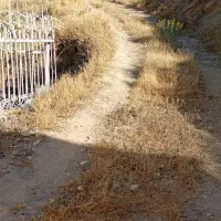 زمین مسکونی|فروش زمین و ملک کلنگی|سیوان, |دیوار