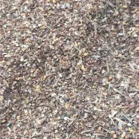 دان مرغ و طیور