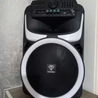 اسپیکر چمدانی دایموند