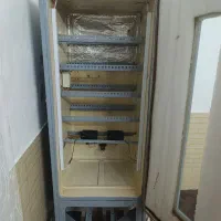 دستگاه جوجه کشی دستی و دست ساز|لوازم جانبی حیوانات|گنبد کاووس, |دیوار