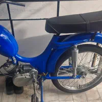 رکس