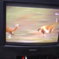 تعمیرات انواع برد الکترونیکی|خدمات پیشه و مهارت|کرج, کلاک نو|دیوار