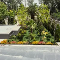 طراح و باغبان فضای سبز و عمده فروشی گل گیاه درختچه