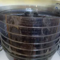 میوه خشک کن ایتالوکس|سایر لوازم برقی|گنبد کاووس, |دیوار