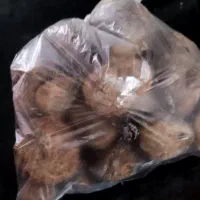 دنبل‌کوهی‌درجه‌یک‌