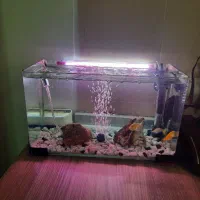 آکواریوم شیشه خم