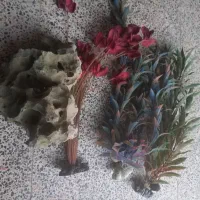 آکواریوم شیشه خم بزرگ و جا دار|ماهی|کرمانشاه, |دیوار