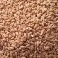 پراید دوگانه سی ان جی