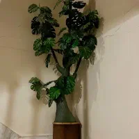 درختچه مصنوعی برگ انجیری