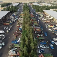 کارگر ساده میدان تره بار مرکزی