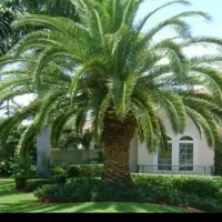 دمیت حاج باقری