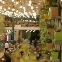 فست فود کار وارد
