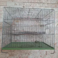 قفس پرنده|لوازم جانبی حیوانات|آباده, |دیوار