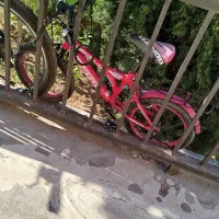 دوچرخه 16و26بفروش میرسد|دوچرخه، اسکیت، اسکوتر|صدرا-فارس, فاز ۱|دیوار