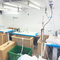 وسطکار تولیدی پوشاک