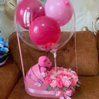 کالکسه هر کی قراره نینی دار بشه بهترین هدیه