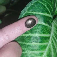 یاقوت اصل معدنی افریقا