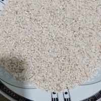 نیم دانه علی کاظمی
