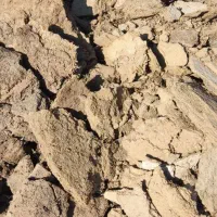 خاک گوسفندی یک خاور|خدمات باغبانی و درختکاری|گناباد, |دیوار