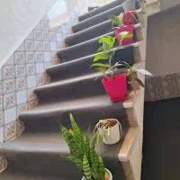 فروش استند گل و گلدان|گل و گیاه طبیعی|زرقان, |دیوار