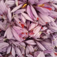 فروش گل زعفران بازعفران پاک شد|عمدهفروشی|آبیک, |دیوار