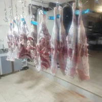 نیرو قصابی و مرغ فروشی