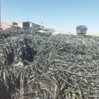 خرید و فروش نوار تیپ نوار قطره ای|عمده‌فروشی|سنندج, |دیوار