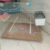 قفس با ابعاد بزرگ مرغ عشق عروس هلندی فنچ قناری و..|لوازم جانبی حیوانات|شهرضا, |دیوار