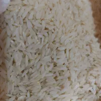 برنج علی کاظمی میانه ارگانیک