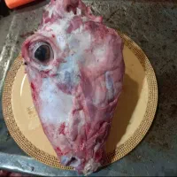 قصاب گوشت گوسفندی(کهره،بره،بز)قصابی|خوردنی و آشامیدنی|فسا, |دیوار