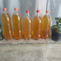 آبغوره خانگی شهرستان
