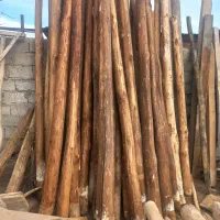 فروش چوب سقفی هاچا، نال، تیر، تخت|خدمات باغبانی و درختکاری|اردبیل, |دیوار